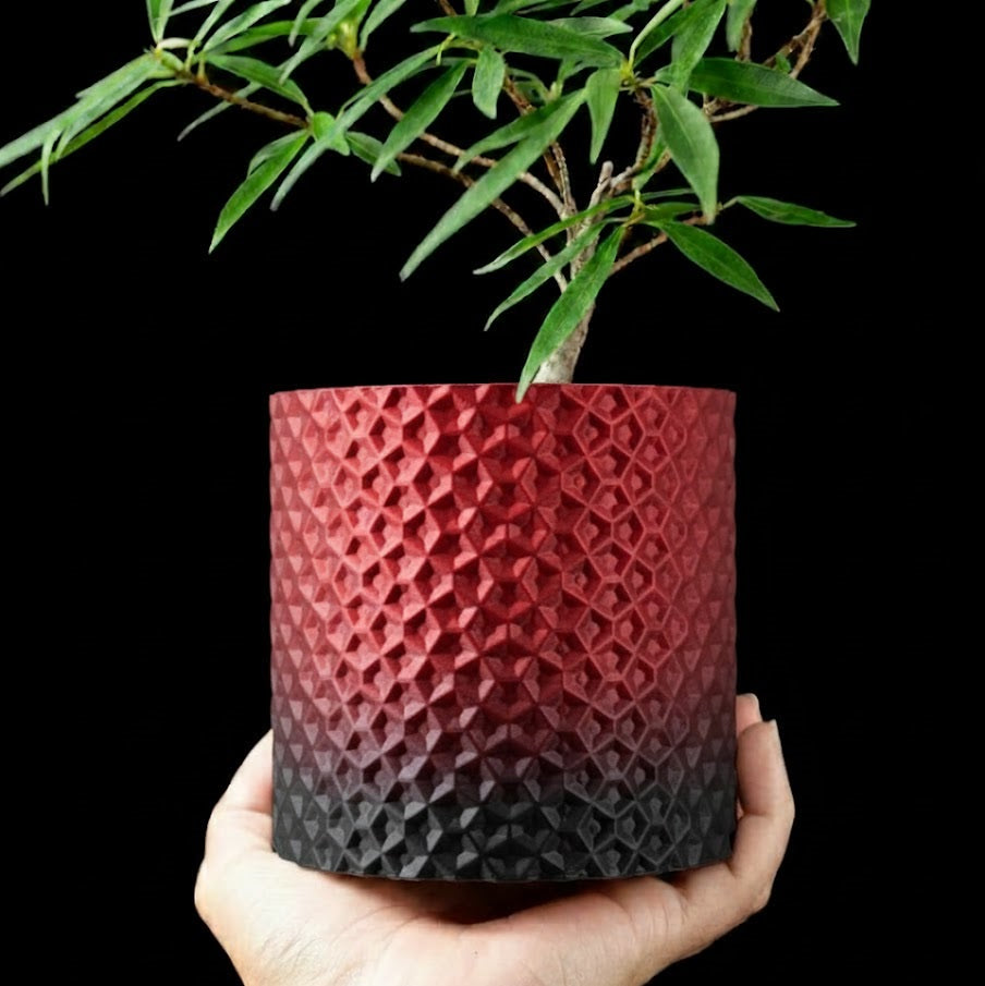Ordan Planter Pot 3D– Geometrie trifft Natur