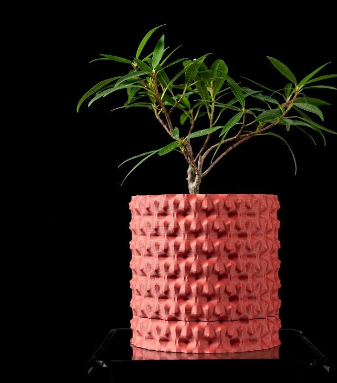 Robuster – Der markante 3D-Pflanztopf für starke Akzente