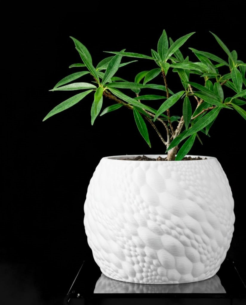 Gato Pflanztopf – Organisches 3D-Design für moderne Wohnräume