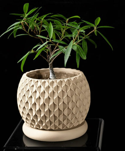 Bloom Planter – Der blüteninspirierte 3D-Pflanztopf mit organischer Struktur