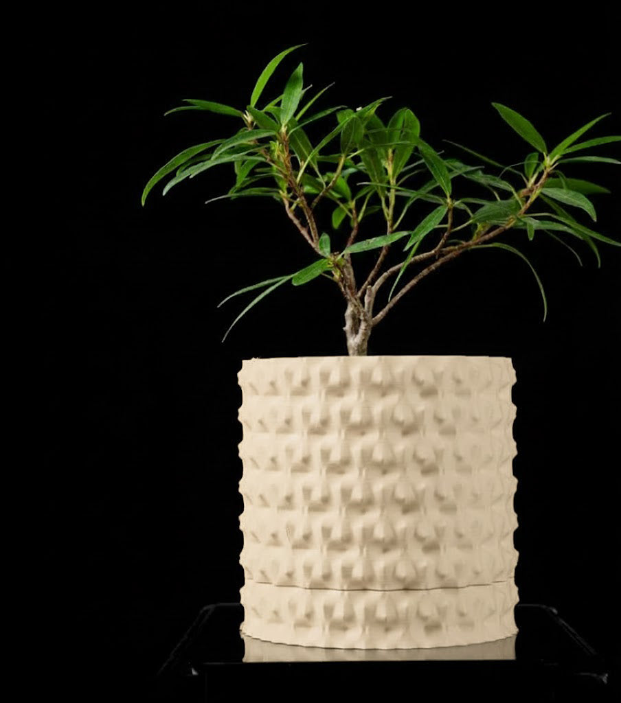 Robuster – Der markante 3D-Pflanztopf für starke Akzente