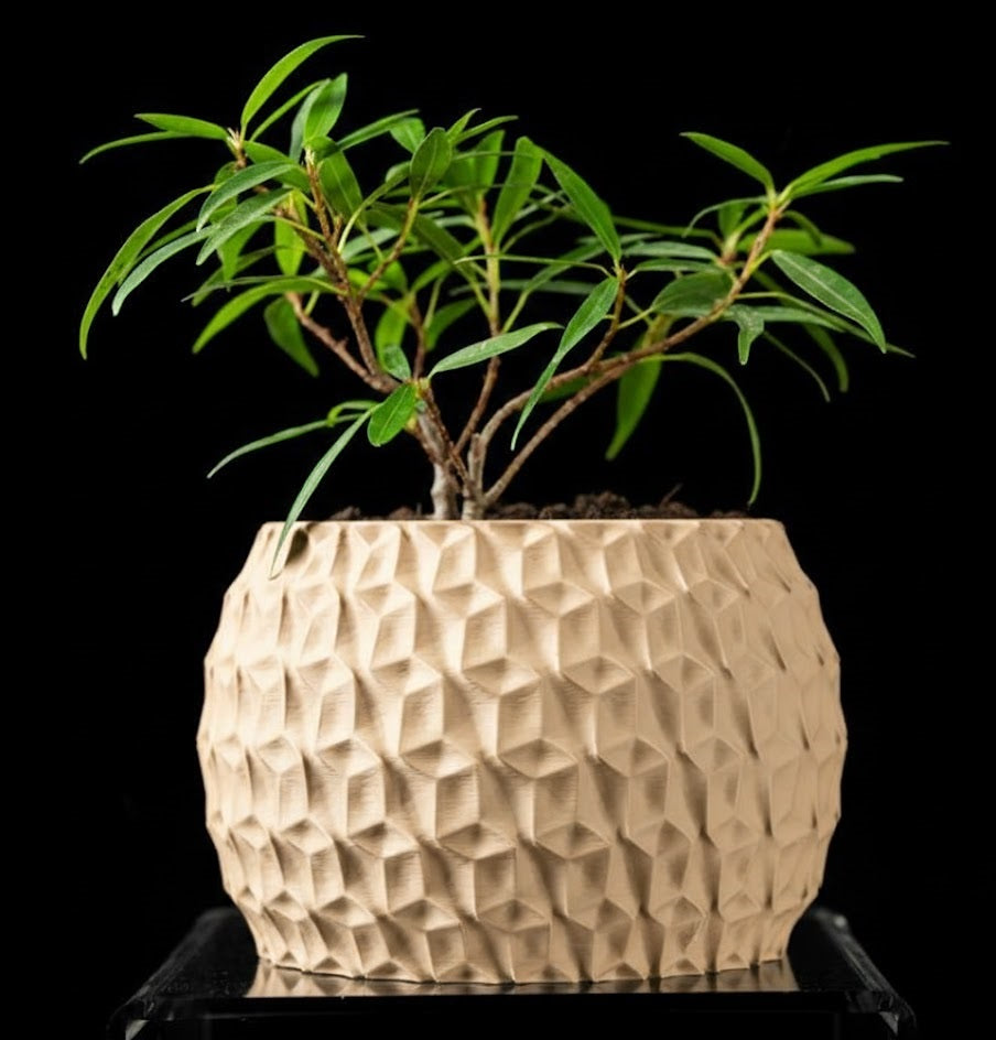 Hexa Planter Pot – 3D-Pflanztopf mit Facettenschliff