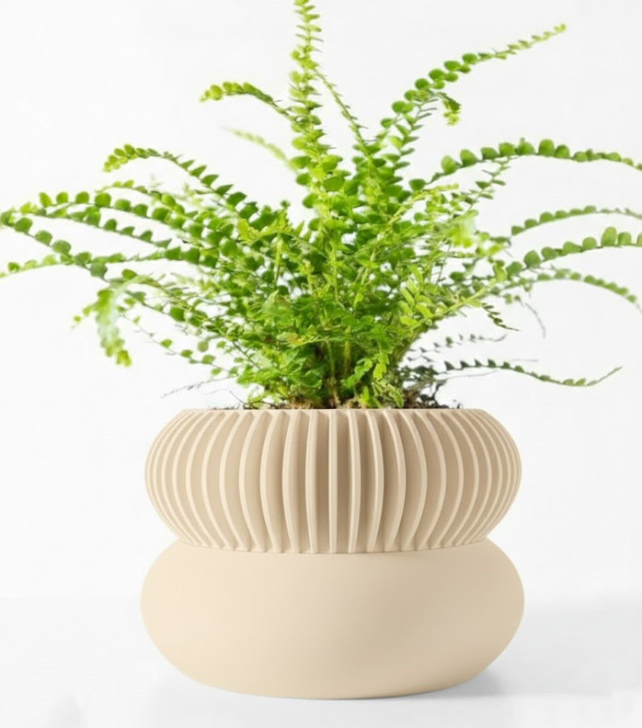 Der Elomi – 3D-Pflanztopf mit dynamischer Zweiteilung und skulpturaler Eleganz