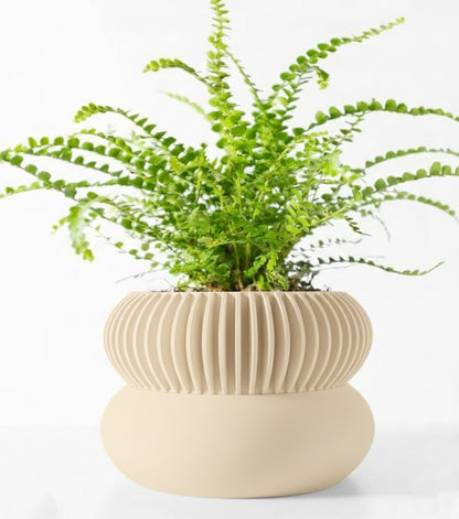 Der Elomi – 3D-Pflanztopf mit dynamischer Zweiteilung und skulpturaler Eleganz