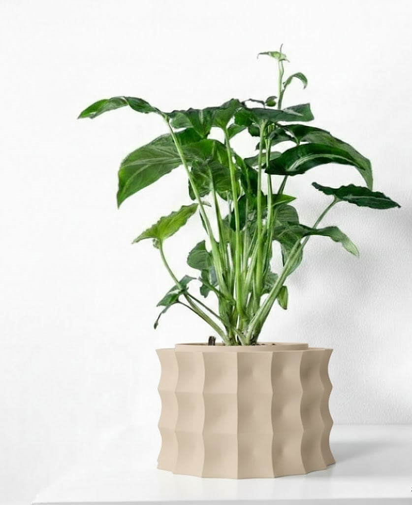 Kivern Pflanztopf – Design in Wellenform