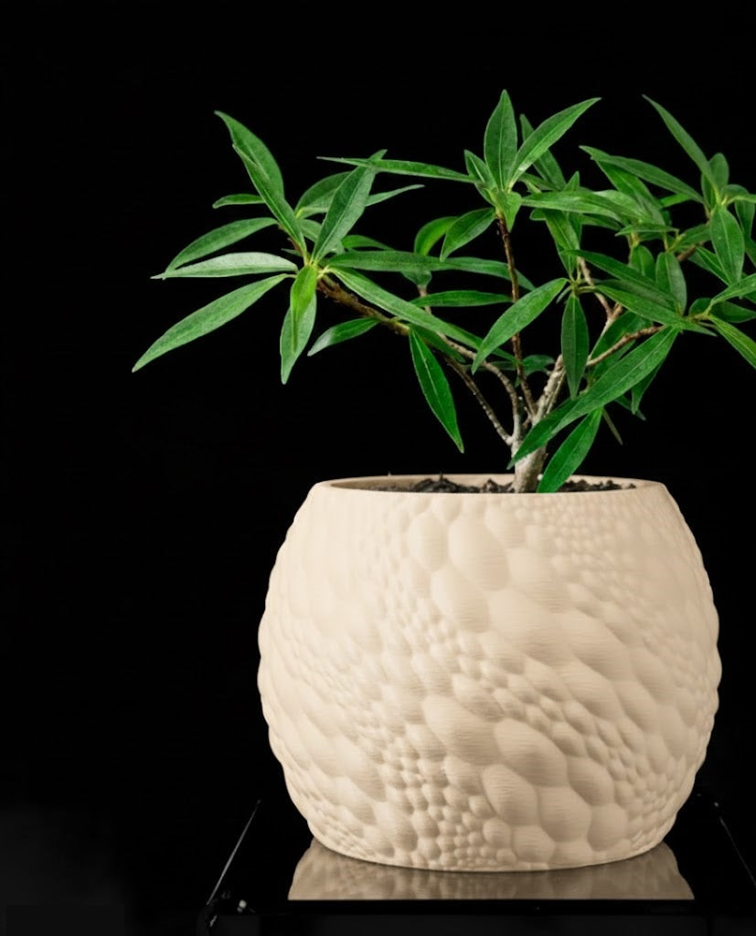 Gato Pflanztopf – Organisches 3D-Design für moderne Wohnräume