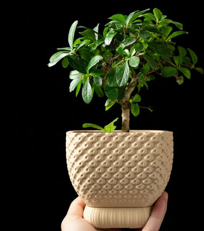 Connect Planter Pot – Strukturierte Eleganz im 3D-Design