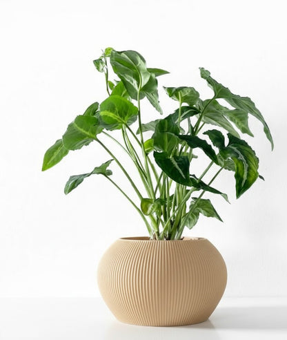 Melfi Pflanztopf – Zeitlose Eleganz in Linienform
