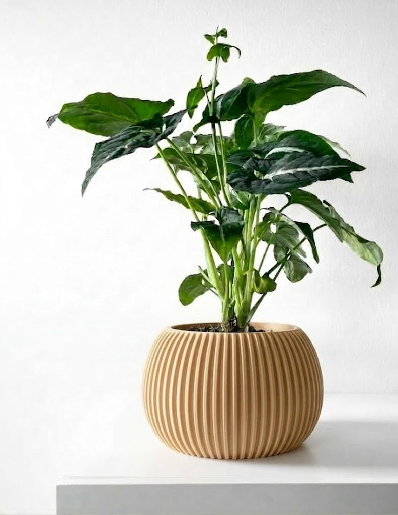 Surno Pflanztopf – Klassik neu definiert