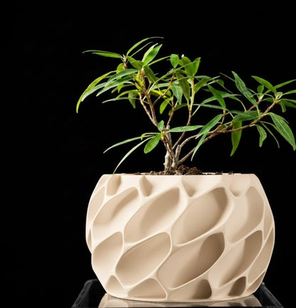 Exo Planter – Der organisch-dynamische 3D-Pflanztopf