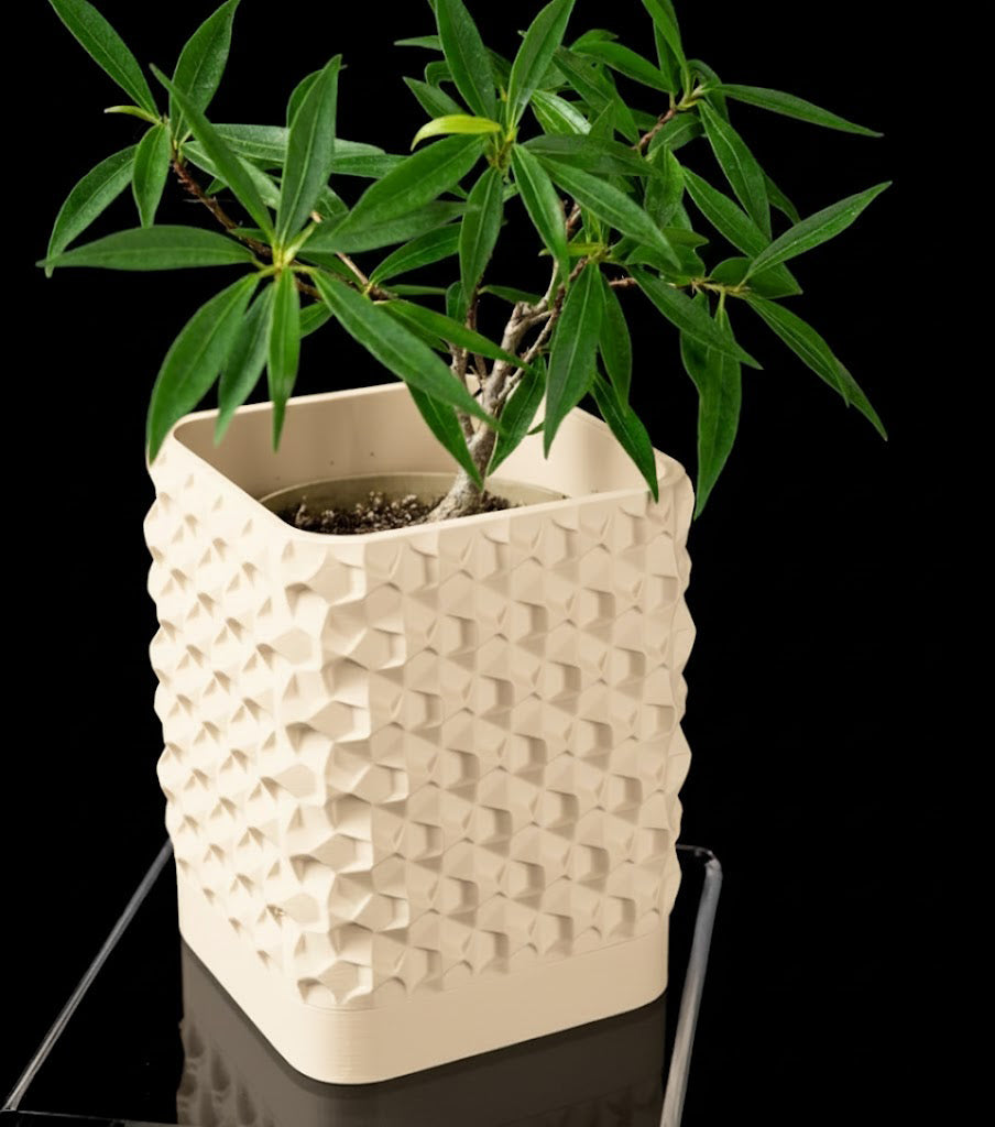 Rovi Square Planter Pot – Geometrie trifft Natur