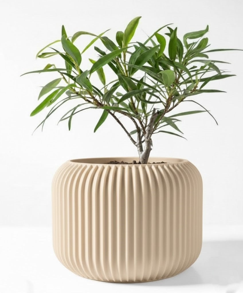 Der Unis – Zeitloser 3D-Pflanztopf mit rhythmischer Kontur