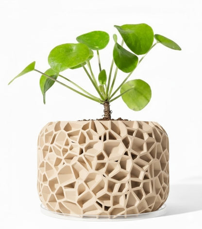 Der Vori – Organischer 3D-Pflanztopf im Voronoi-Look