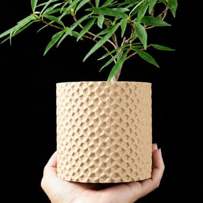 Ordan Planter Pot 3D– Geometrie trifft Natur
