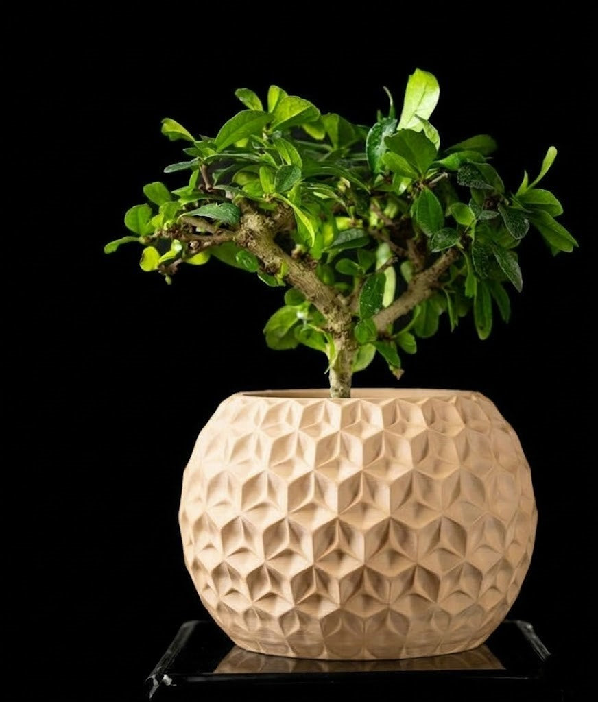 Trihex Pflanztopf – Geometrische Tiefe in 3D-Perfektion