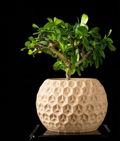 Trihex Pflanztopf – Geometrische Tiefe in 3D-Perfektion