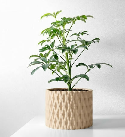 Grivan Pflanztopf – Geometrie trifft Eleganz