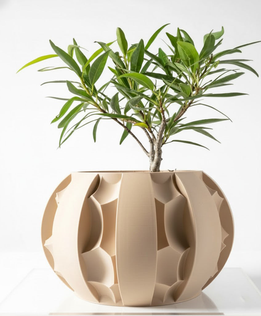 Der Erna – Skulpturale Eleganz trifft 3D-Pflanzenkultur