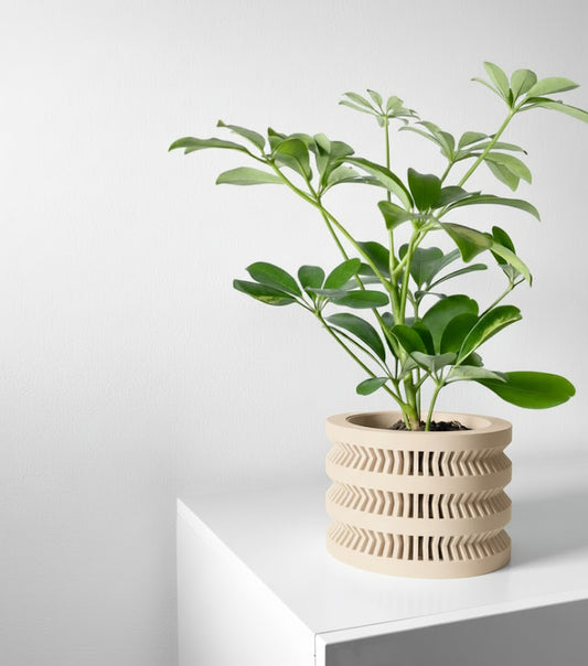 Civen Pflanztopf – Architektur in Pflanzenform