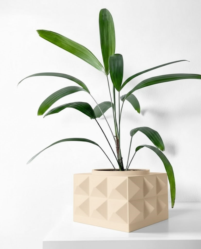 Eldan Pflanztopf – Geometrie mit Charakter