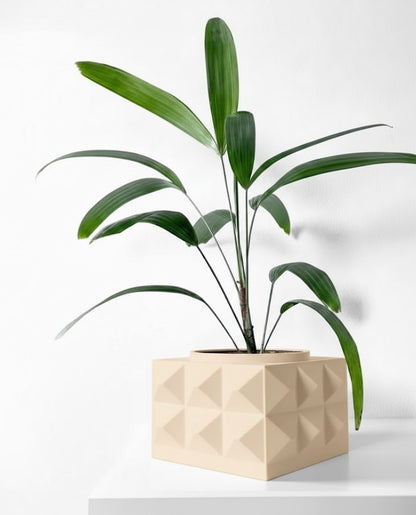 Eldan Pflanztopf – Geometrie mit Charakter
