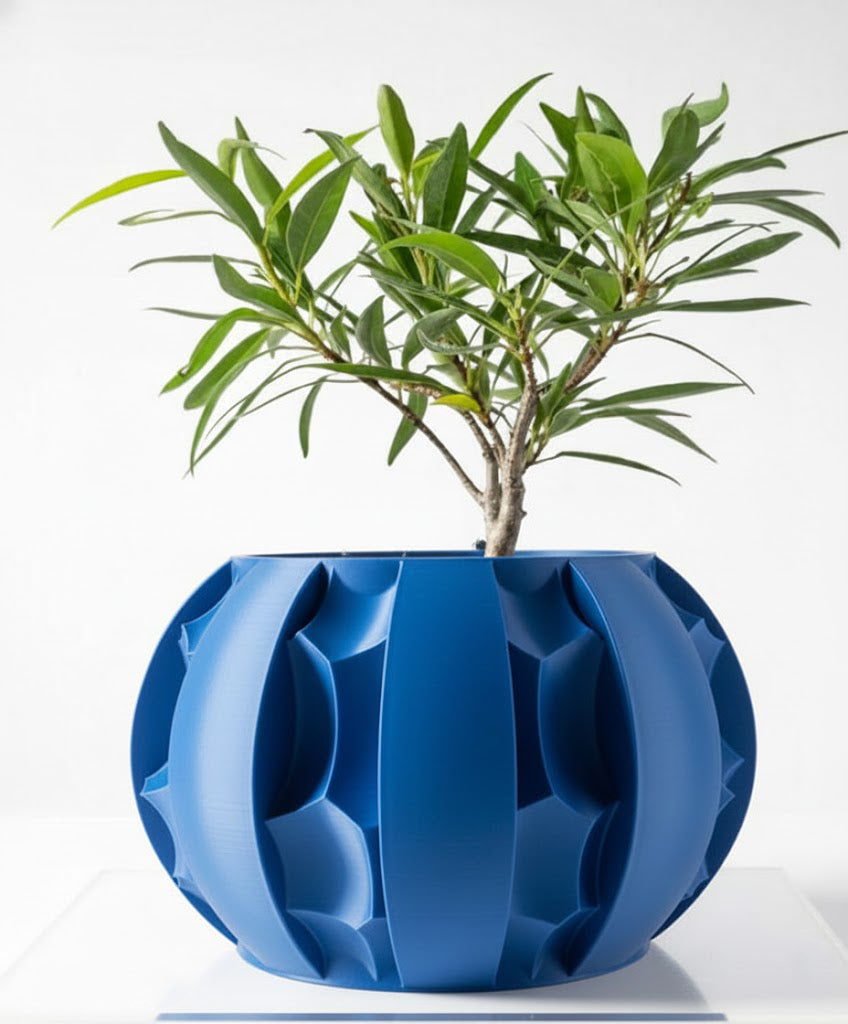 Der Erna – Skulpturale Eleganz trifft 3D-Pflanzenkultur