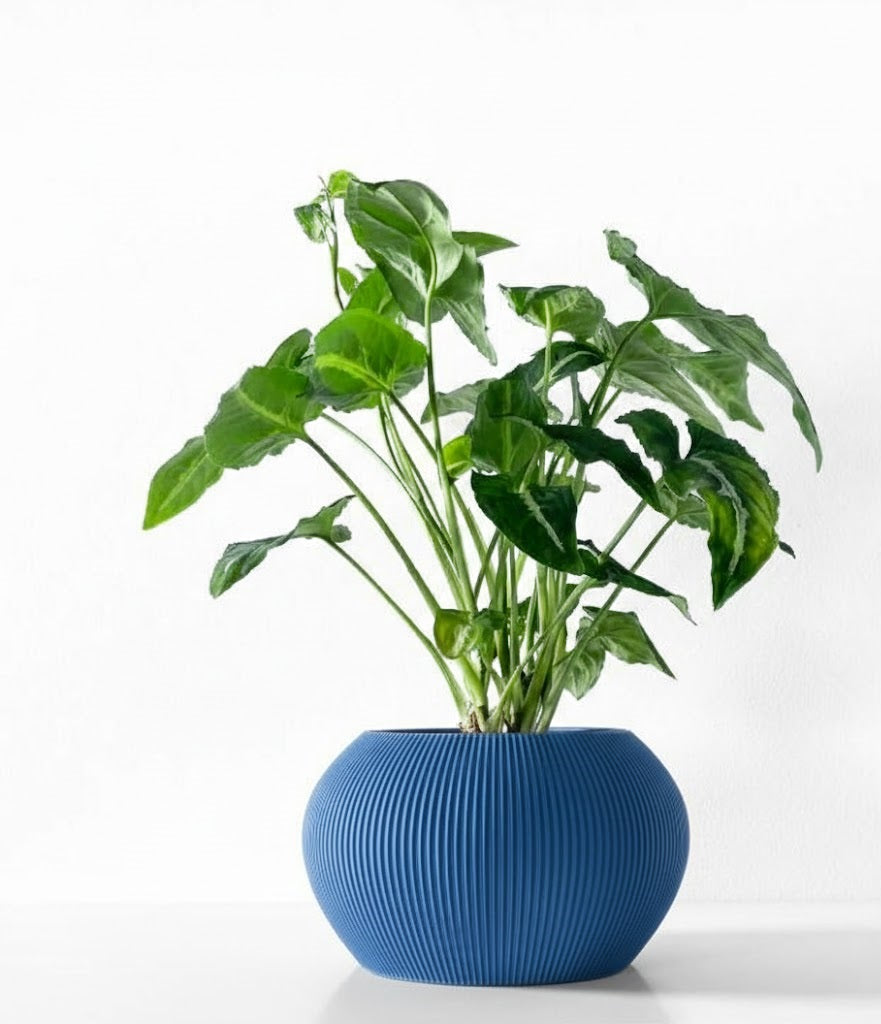 Melfi Pflanztopf – Zeitlose Eleganz in Linienform