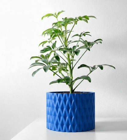 Grivan Pflanztopf – Geometrie trifft Eleganz
