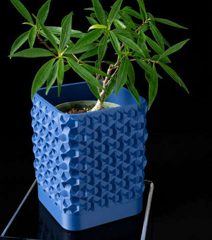 Rovi Square Planter Pot – Geometrie trifft Natur