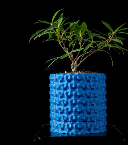 Robuster – Der markante 3D-Pflanztopf für starke Akzente