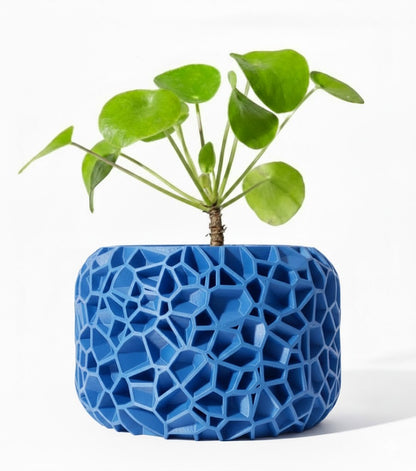 Der Vori – Organischer 3D-Pflanztopf im Voronoi-Look