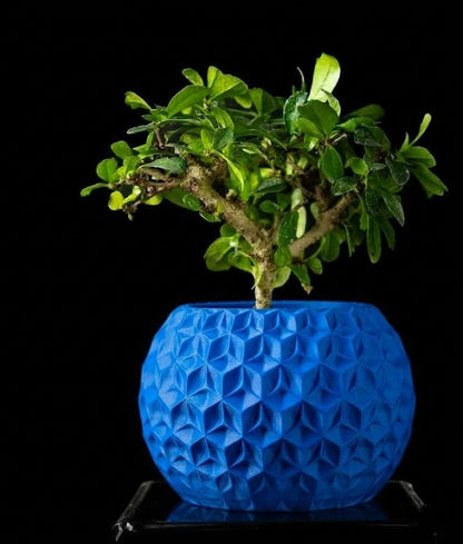 Trihex Pflanztopf – Geometrische Tiefe in 3D-Perfektion