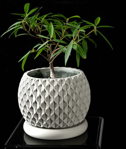 Bloom Planter – Der blüteninspirierte 3D-Pflanztopf mit organischer Struktur