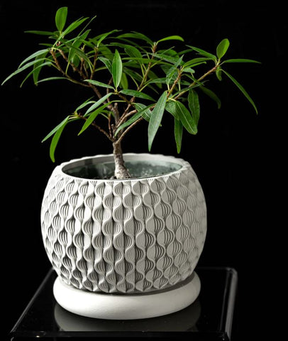 Bloom Planter – Der blüteninspirierte 3D-Pflanztopf mit organischer Struktur