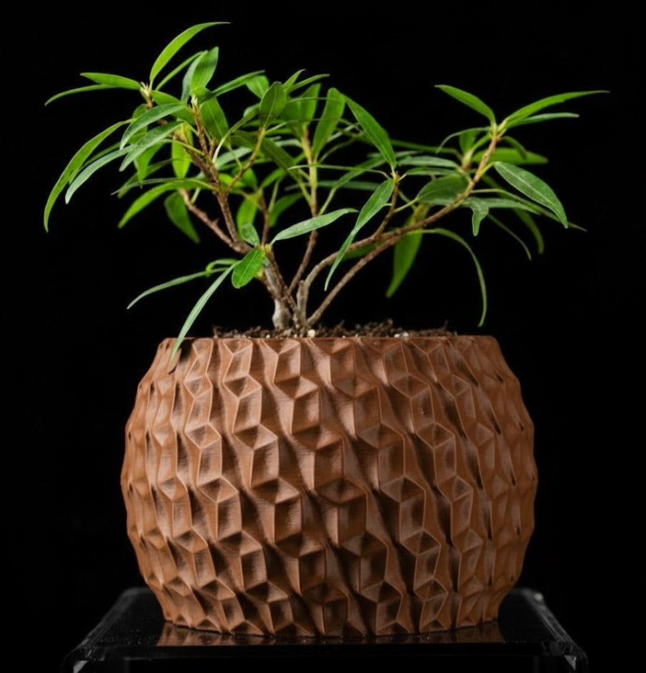 Hexa Planter Pot – 3D-Pflanztopf mit Facettenschliff