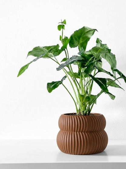 Quarn Pflanztopf – Weiche Konturen, starke Präsenz