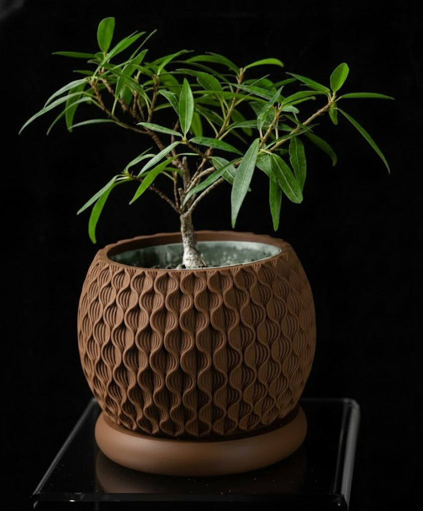 Bloom Planter – Der blüteninspirierte 3D-Pflanztopf mit organischer Struktur