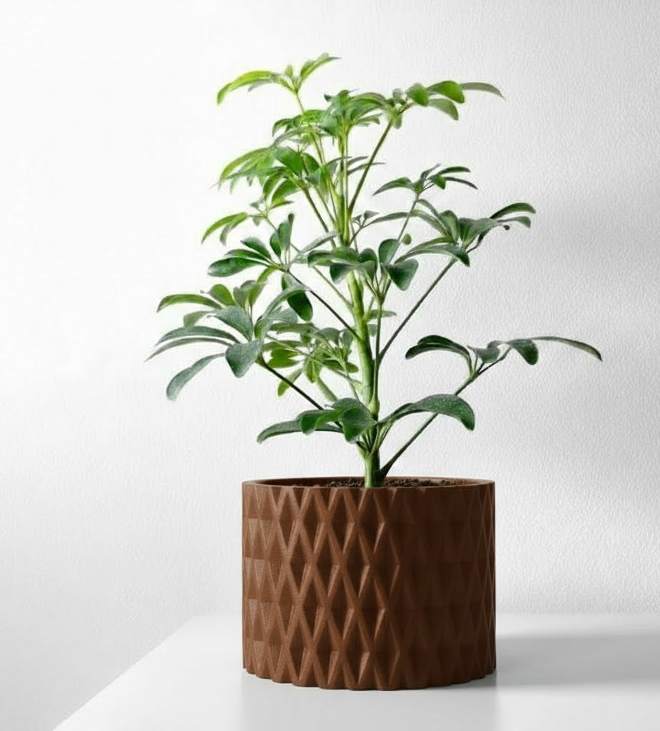 Grivan Pflanztopf – Geometrie trifft Eleganz