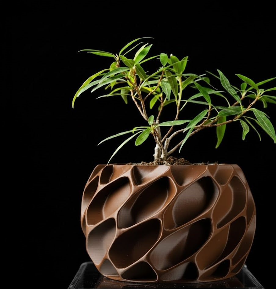 Exo Planter – Der organisch-dynamische 3D-Pflanztopf