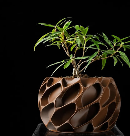 Exo Planter – Der organisch-dynamische 3D-Pflanztopf