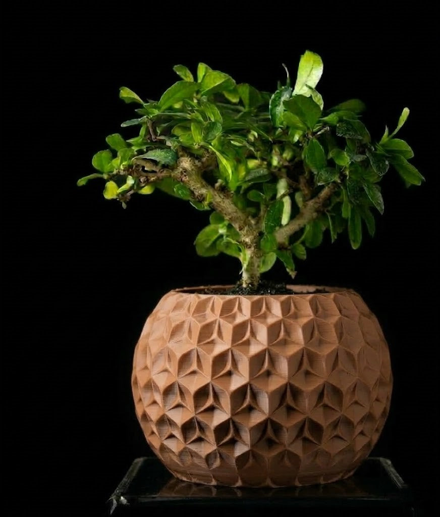 Trihex Pflanztopf – Geometrische Tiefe in 3D-Perfektion