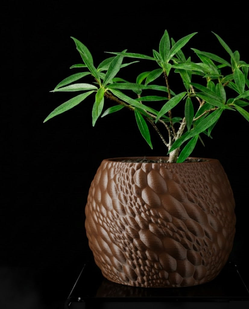 Gato Pflanztopf – Organisches 3D-Design für moderne Wohnräume