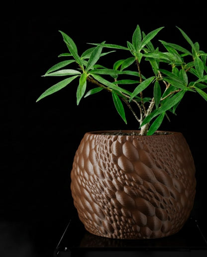 Gato Pflanztopf – Organisches 3D-Design für moderne Wohnräume
