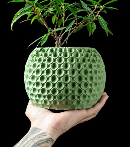 Bubble Planter Pot – Der verspielte 3D-Pflanztopf mit Struktur