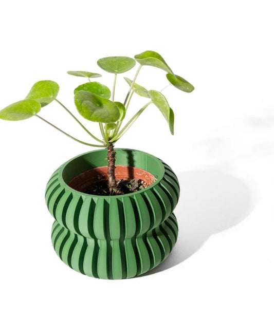 Der Daso – rhythmische Struktur im 3D-Design