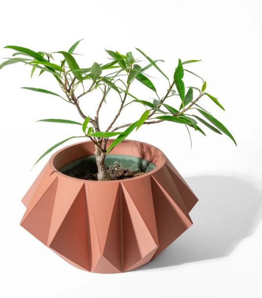 Der Koni – Geometrischer 3D-Pflanztopf mit markanter Facettenstruktur