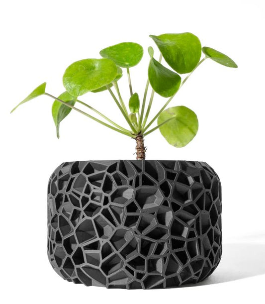 Der Vori – Organischer 3D-Pflanztopf im Voronoi-Look
