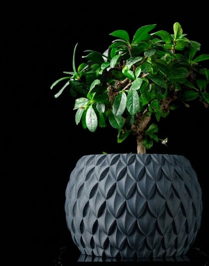 Scale – Der 3D Pflanztopf mit Schuppenstruktur und skulpturaler Eleganz