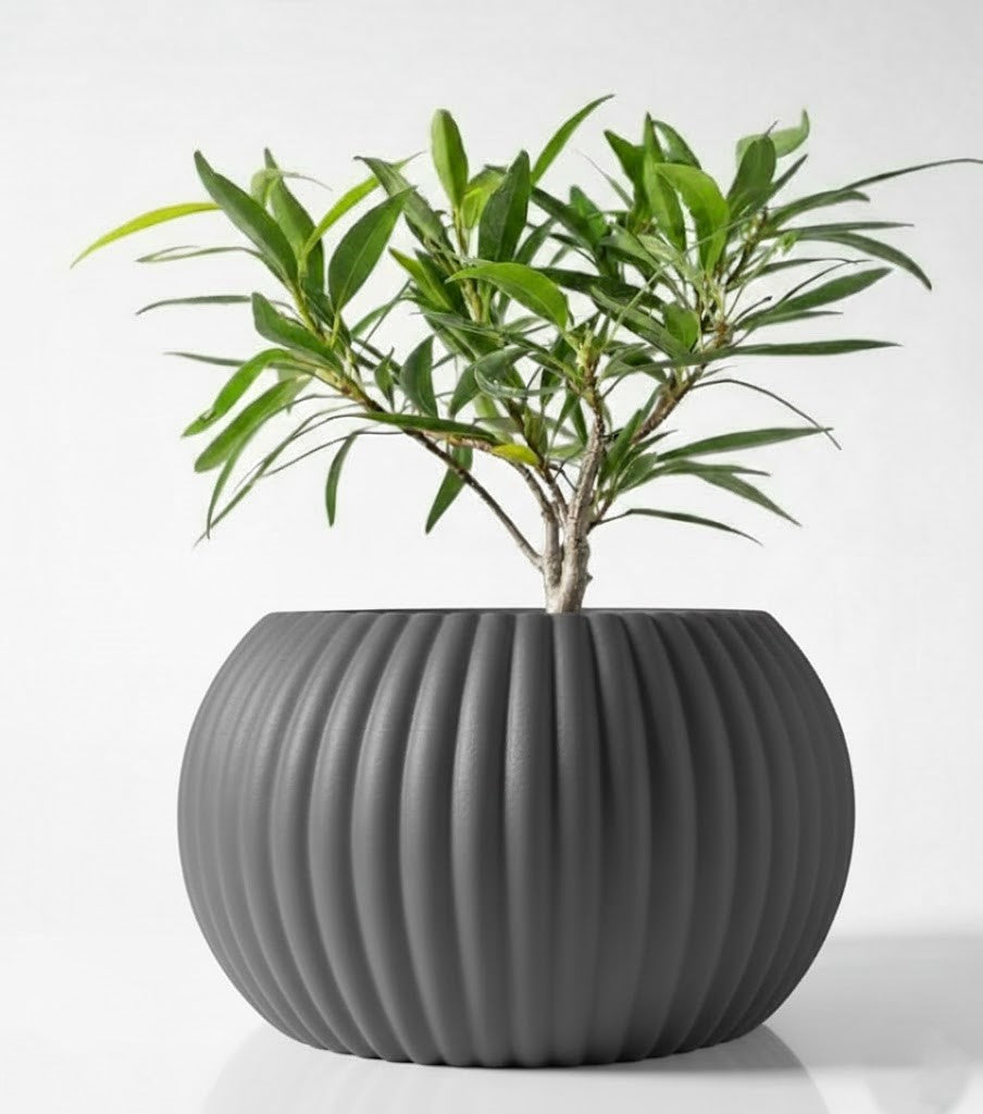 Der Roni – 3D-Pflanztopf mit harmonischer Rillenstruktur