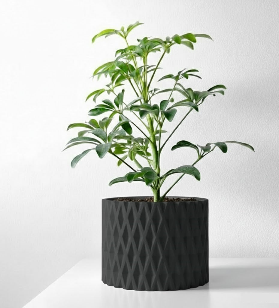 Grivan Pflanztopf – Geometrie trifft Eleganz